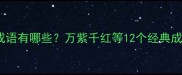 带万字的成语有哪些万紫千红等12个经典成语及用法