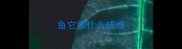 鱼它读什么成语