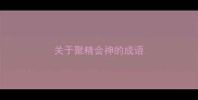 关于聚精会神的成语