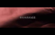 带东和西的成语
