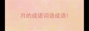 月的成语词语成语
