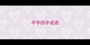 中字四字成语