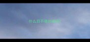什么目不堪的成语