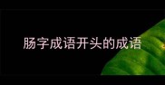 肠字成语开头的成语