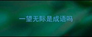 一望无际是成语吗