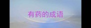 有药的成语