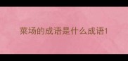 菜场的成语是什么成语