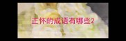 正怀的成语有哪些