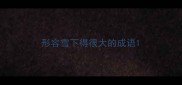 形容雪下得很大的成语