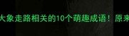 趣味成语盘点大象走路相关的10个萌趣成语原来古人这么会玩