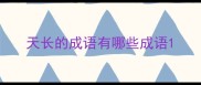 天长的成语有哪些成语
