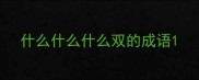 什么什么什么双的成语