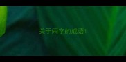 关于闹字的成语