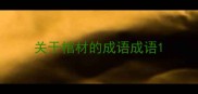 关于棺材的成语成语