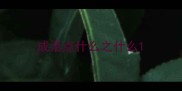 成语点什么之什么