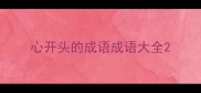 心开头的成语成语大全