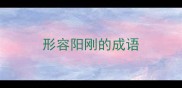 形容阳刚的成语