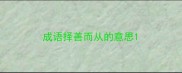 成语择善而从的意思