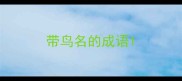 带鸟名的成语