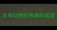 含有动物的有趣的成语