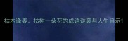 枯木逢春枯树一朵花的成语逆袭与人生启示
