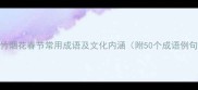 爆竹烟花春节常用成语及文化内涵附50个成语例句