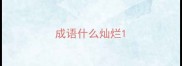 成语什么灿烂