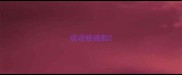 成语碰碰船