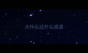 大什么过什么成语