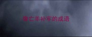 像亡羊补牢的成语