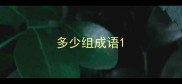 多少组成语