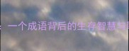 望梅止渴典故一个成语背后的生存智慧与职场应用指南