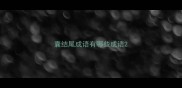 囊结尾成语有哪些成语