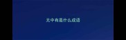 无中有是什么成语