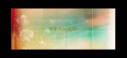 华字开头成语