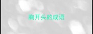 胸开头的成语