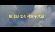 成语接龙有对的字成语
