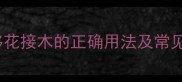成语移花接木的正确用法及常见误用