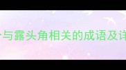 最新整理15个与露头角相关的成语及详细附例句