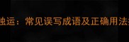 匠心独运常见误写成语及正确用法指南