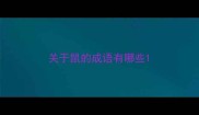 关于鼠的成语有哪些