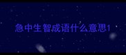 急中生智成语什么意思