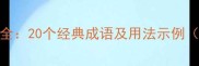 外矛相关成语全20个经典成语及用法示例附收录指南