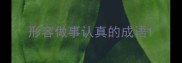 形容做事认真的成语