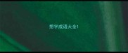 想字成语大全