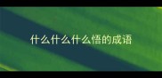 什么什么什么悟的成语