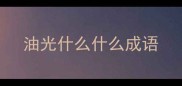 油光什么什么成语