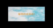 植物的成语有