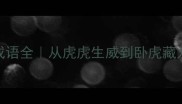 10个含虎字成语全从虎虎生威到卧虎藏龙的深度解读