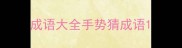 成语大全手势猜成语